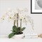 18" White Phalaenopsis Orchid Flowers in Elegant White Ceramic Vase - Lifelike Artificial Plant for Home, Office & Event Decor - Floral Home by Artificial Flowers